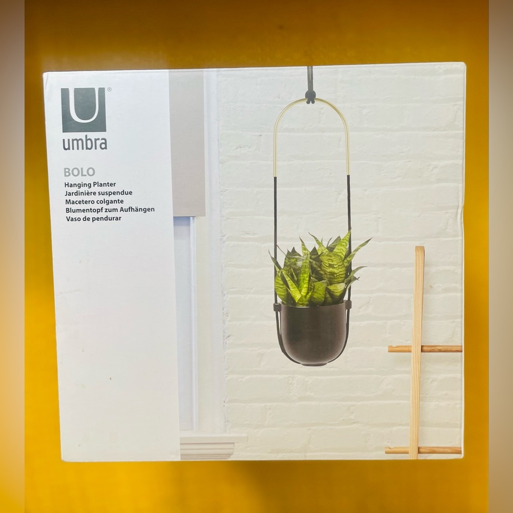 New With Box! Umbra Bolo Black Ceramic Hanging Planter Modern Home Accessory - Picture 2 of 10